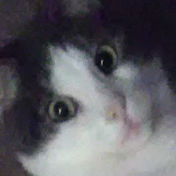 Meet your Posher, Lisa - Picture 4 of 16